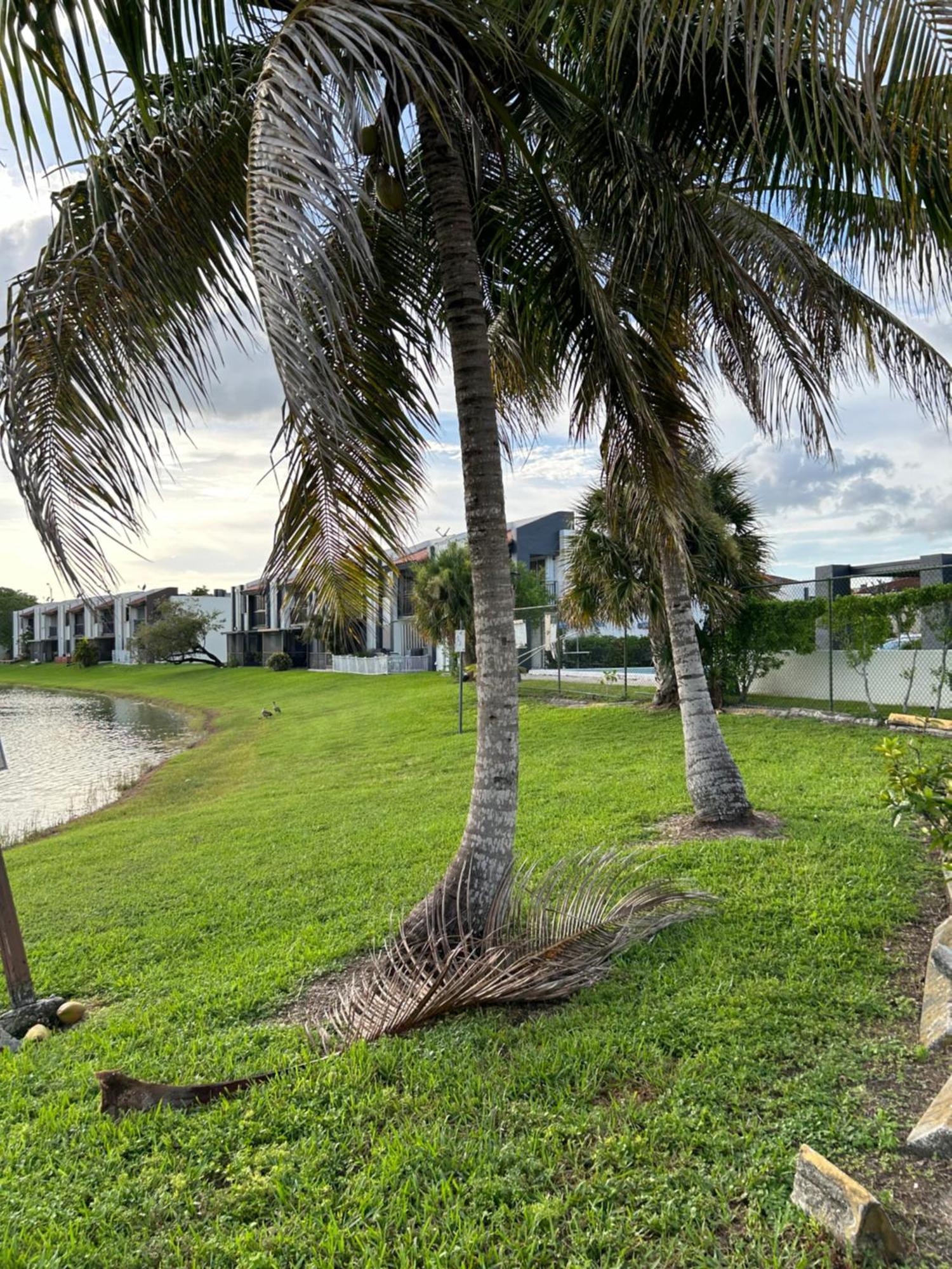 Beautiful Apartment With Very Elegant Colonial Decoration Tamiami Buitenkant foto